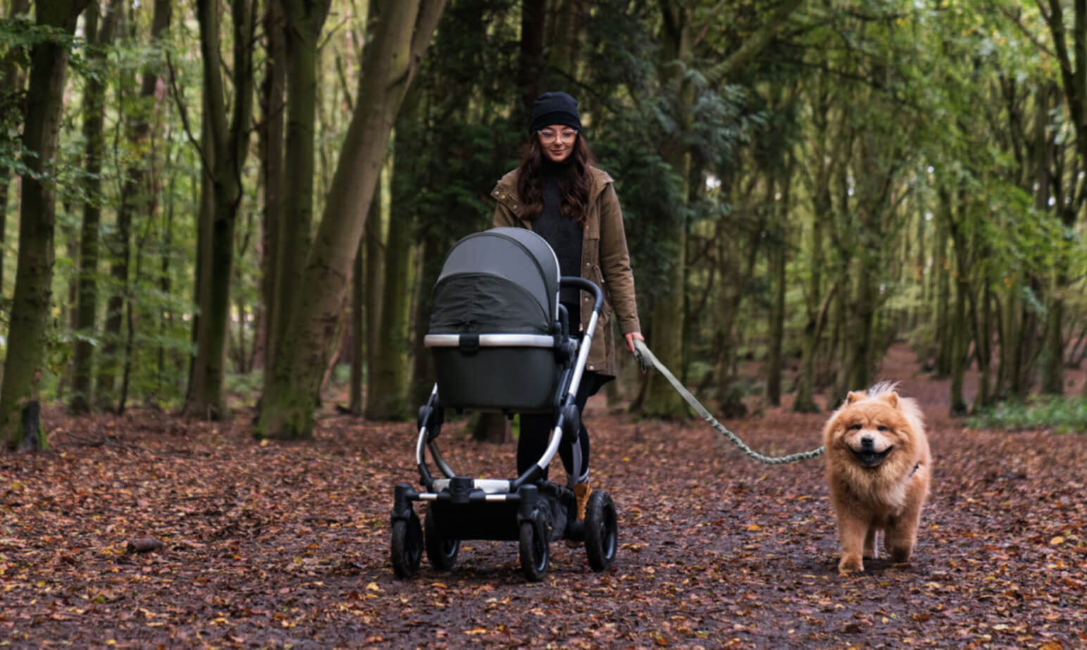 Best pram for shop walking off road